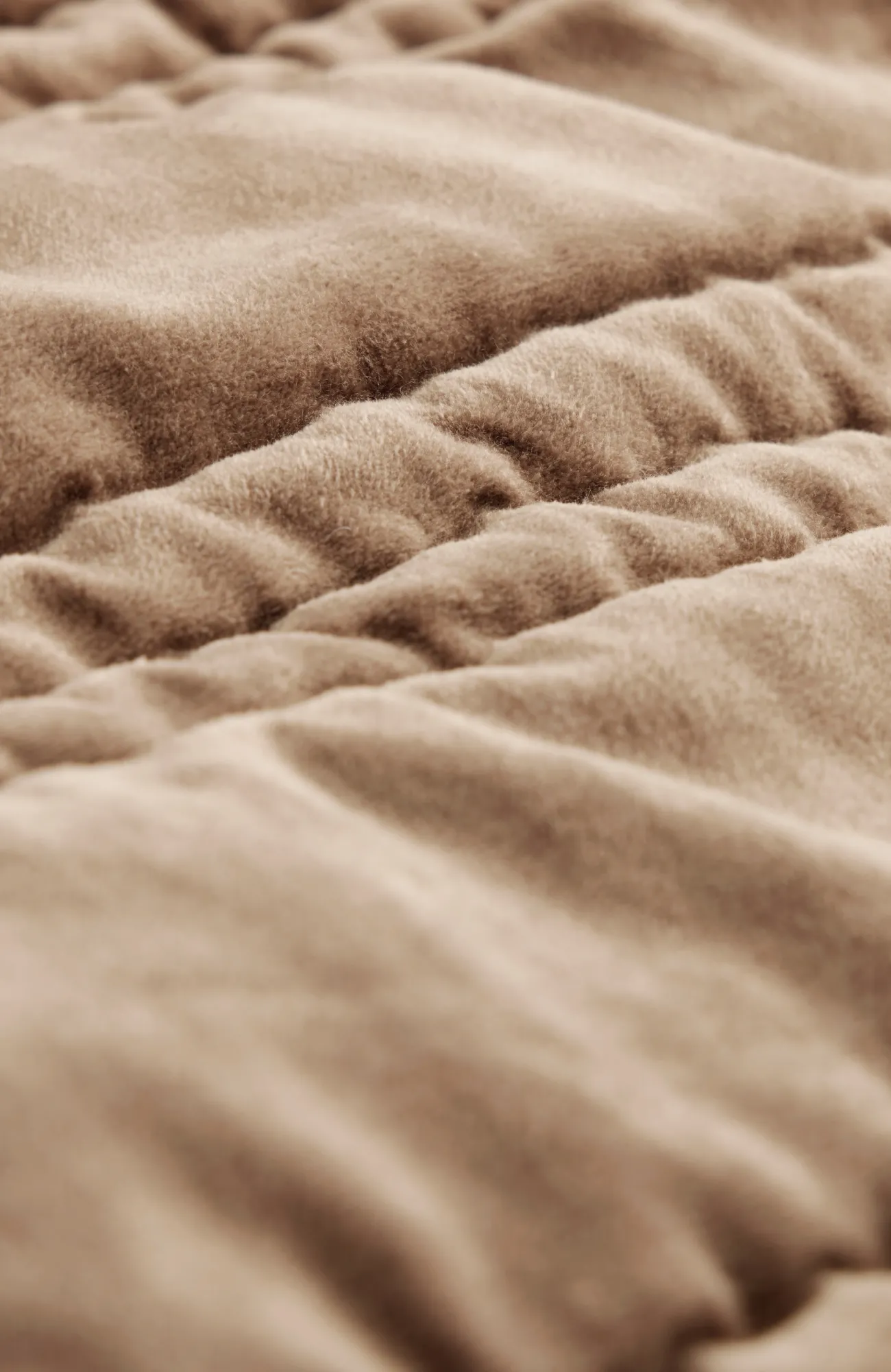 J.Jill Elements Quilted Velvet Throw Best